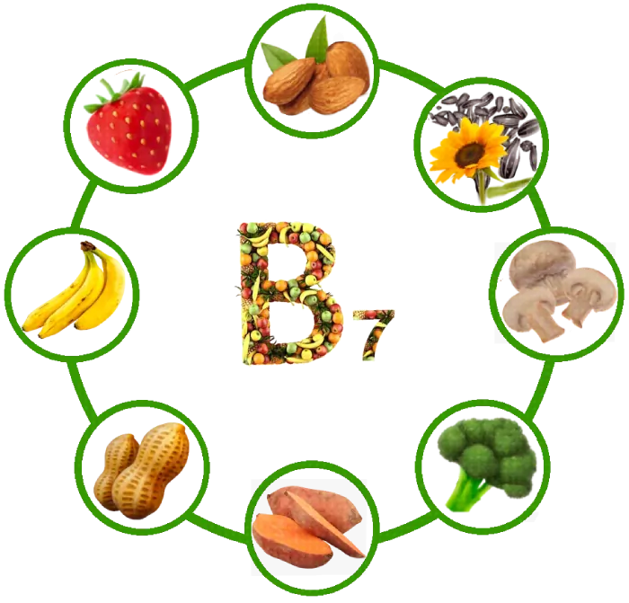 vitamin b7