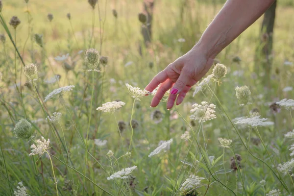 Reconnect with Nature